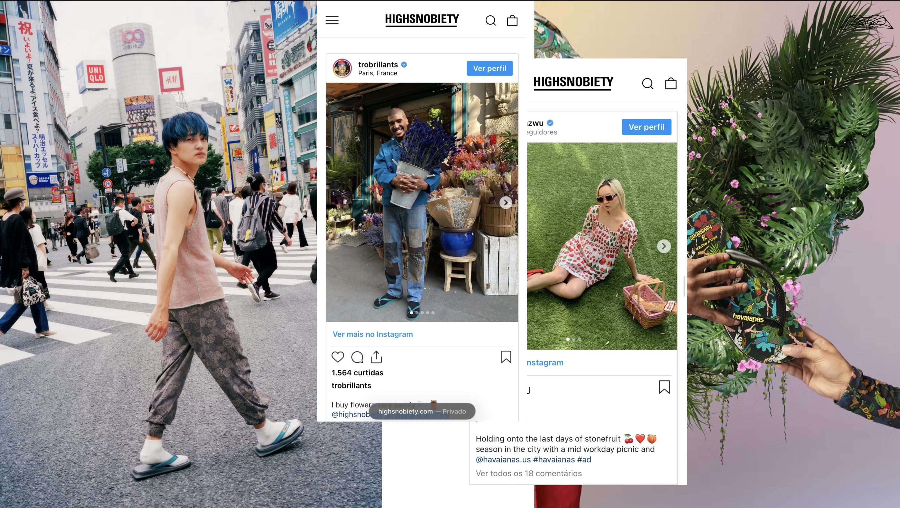 REPOSICIONAMENTO GLOBAL HAVAIANAS